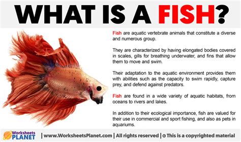 FISH Definition & Meaning .